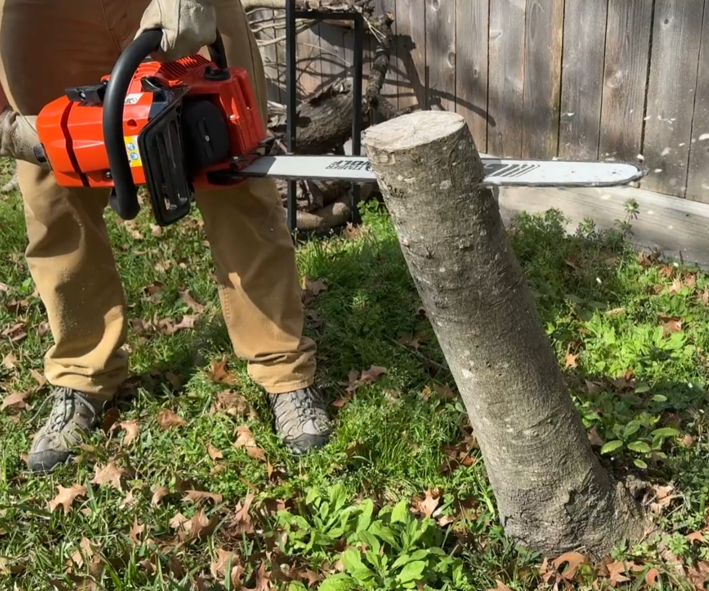 Close up of the Echo CS-590 being use to cut a stump\