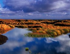 Expanses of peat bog on Black Hill, Yorkshire.