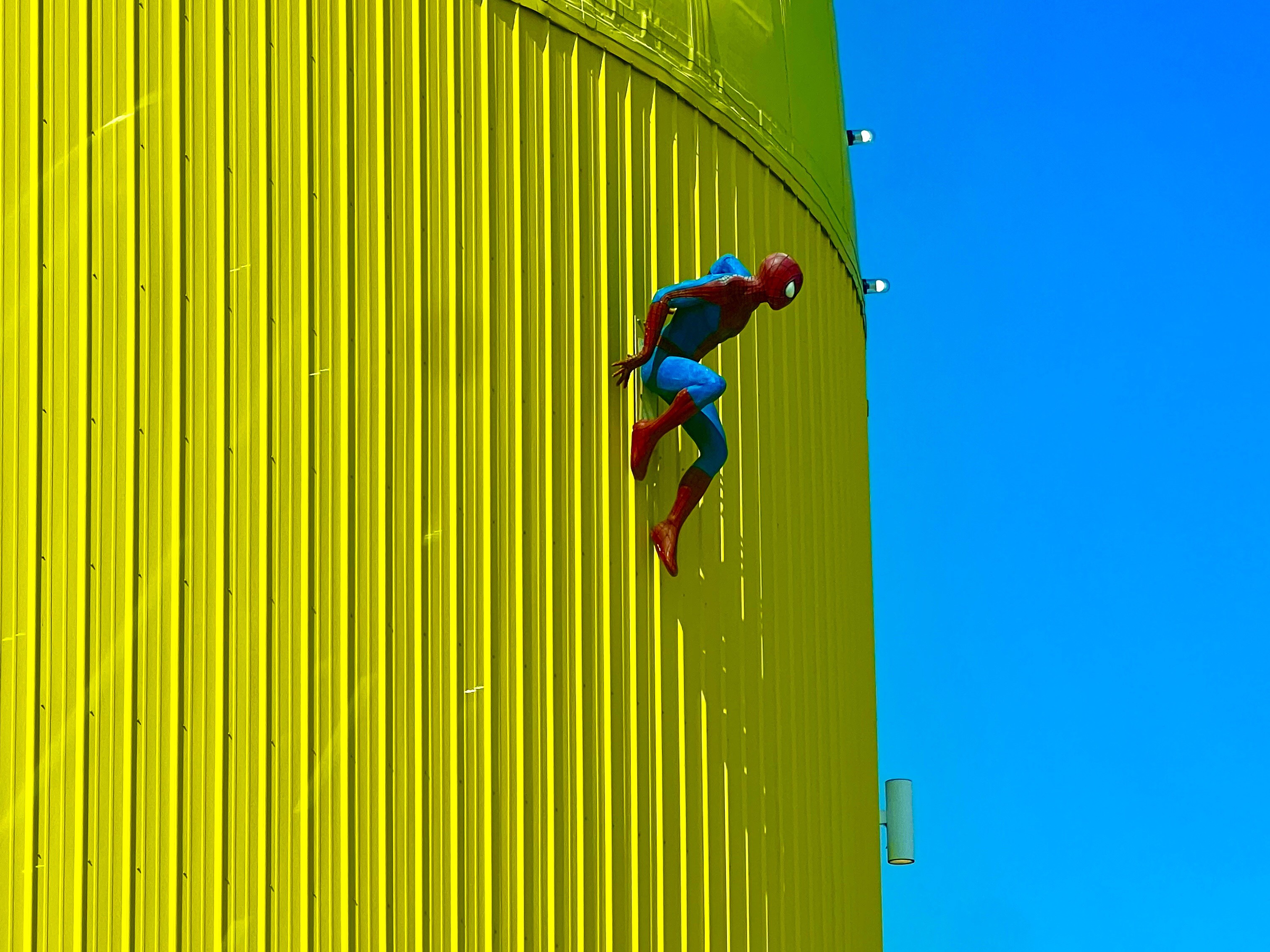 GuruShots - February 2026