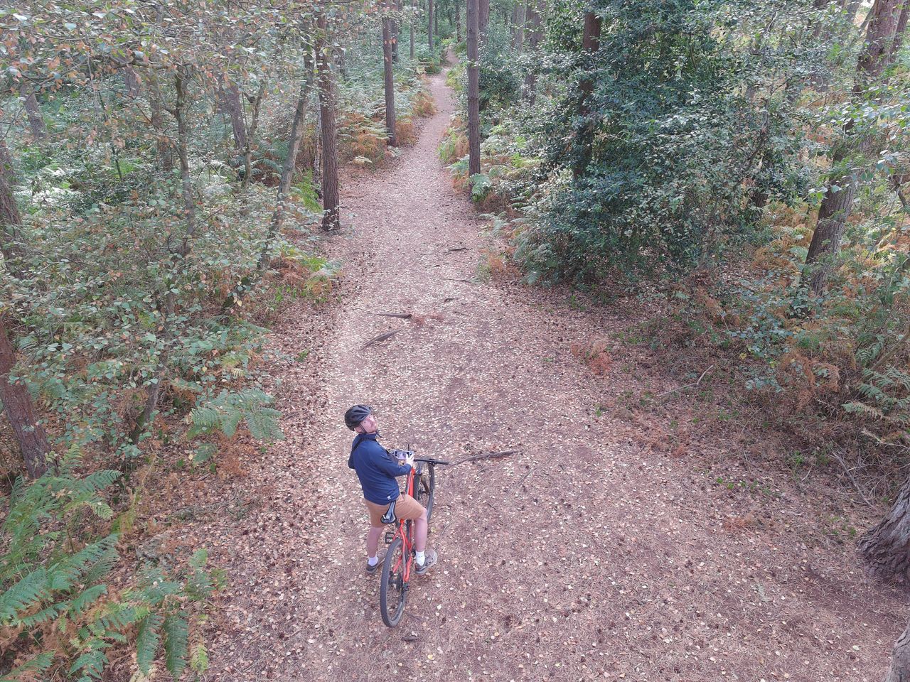 Man on a bike on a footpath in a woodland