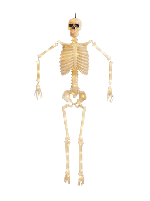 Lit Mr. Bones