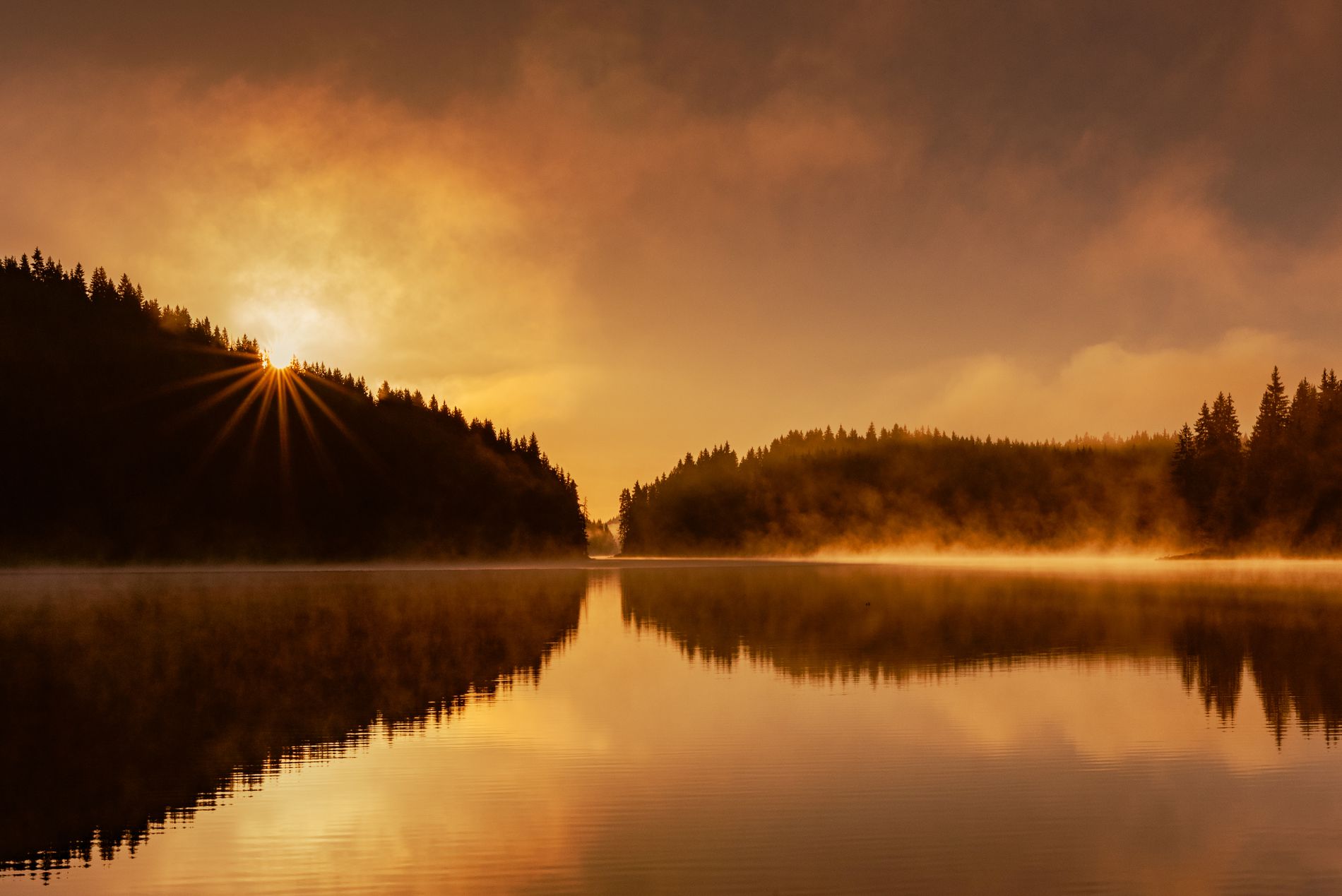 GuruShots - Nature&amp;rsquo;s Masterpiece 2026