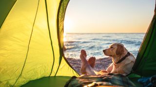 Person camping with dog by the ocean