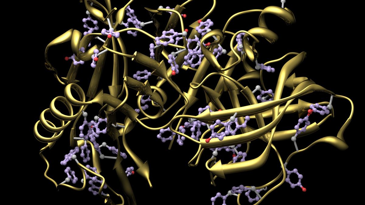 第一个此类数据库揭示了 DNA 突变如何“破坏”蛋白质的稳定性，从而引发遗传疾病