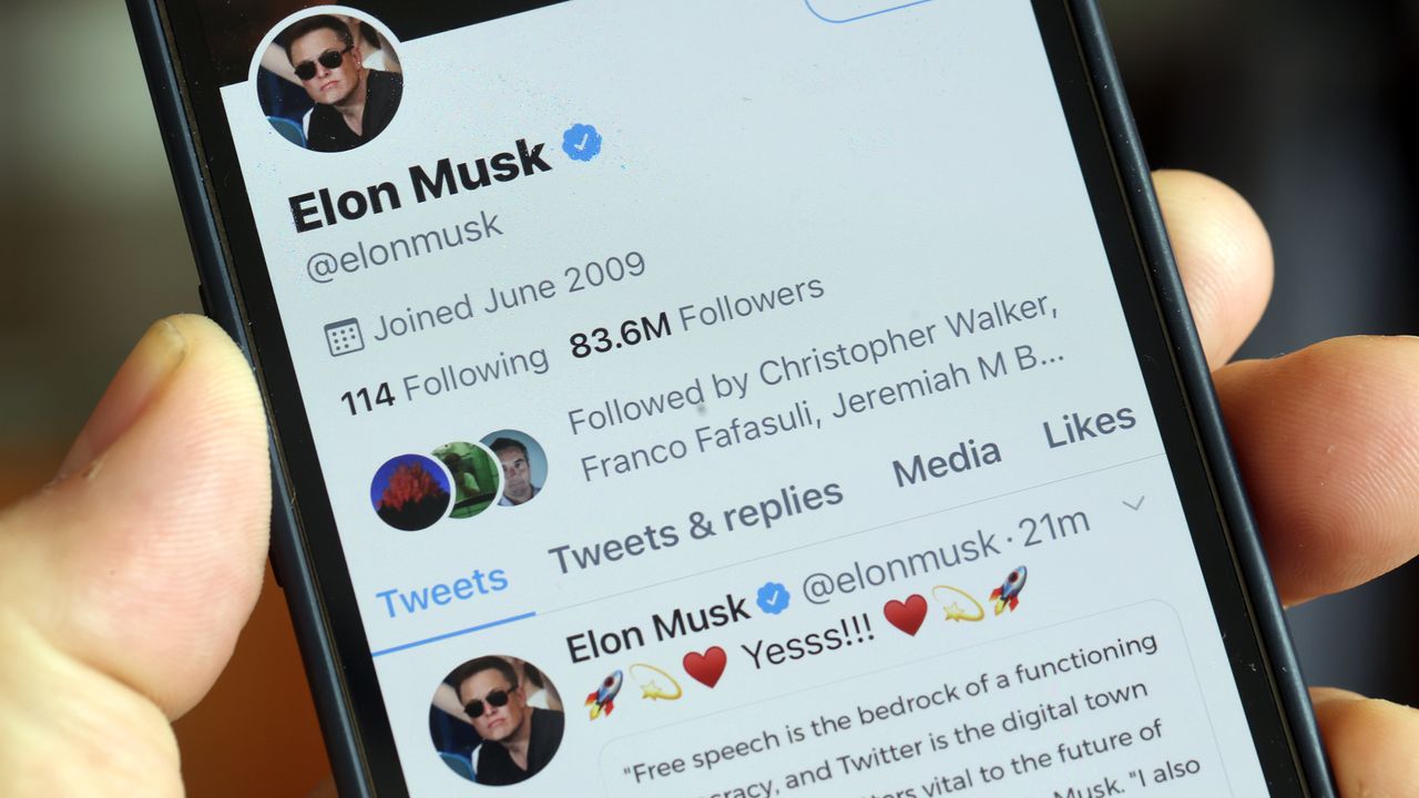 screenshot of Elon Musk&amp;#039;s Twitter page