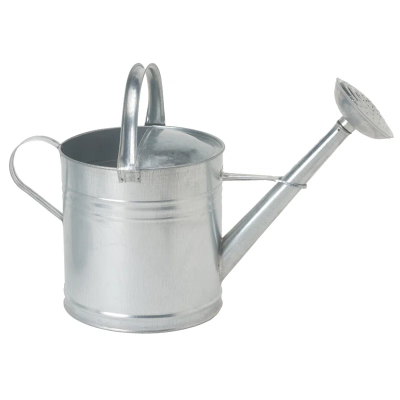 Galvanized Steel Watering Can 2 Gal.