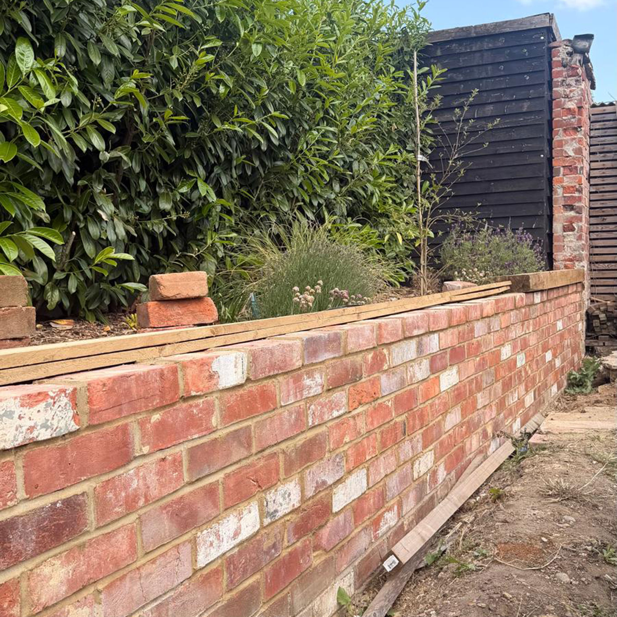 Brick wall in garden