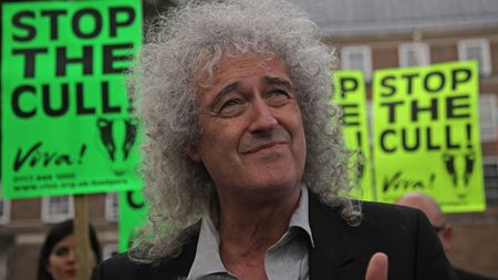 brian-may-badger-cull.jpg