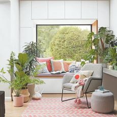 Potted houseplants in living room including monstera plant