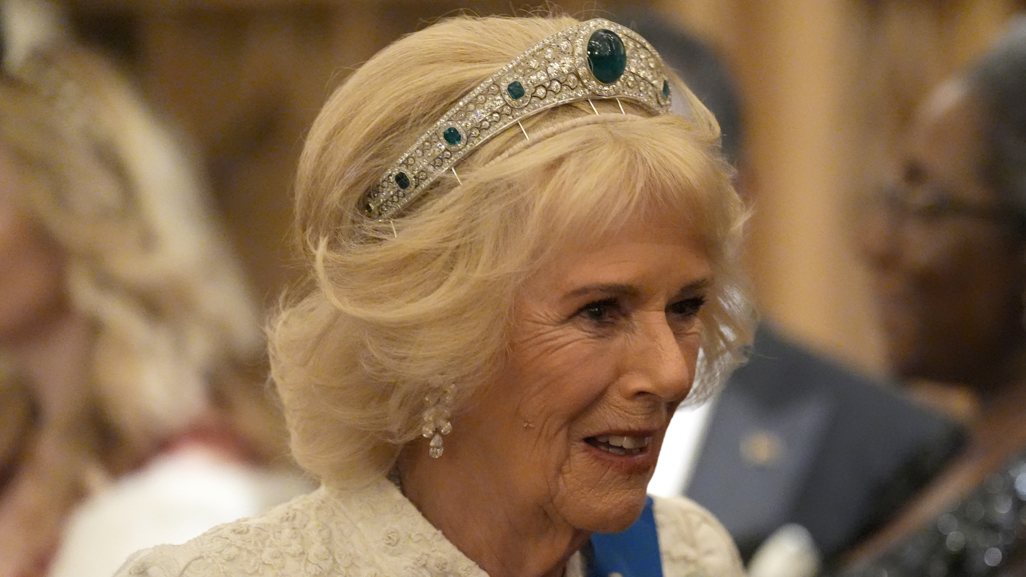 Queen Camilla meets with guests during the Diplomatic Corps reception at Windsor Castle on November 18, 2025