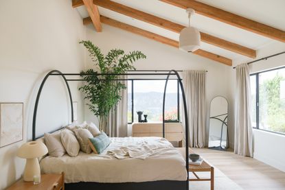 a bedroom with a large indoor tree