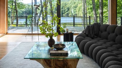 a living room in a modern lake house