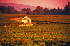 Maison Louis Jadot Chambertin Clos de Beze