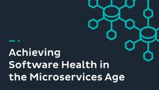 Dark whitepaper cover with spider diagram graphics on right side