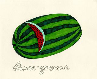 Drawing of a watermelon