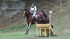 US Olympic eventing team: Will Coleman and Off The Record are selected for Paris 2024