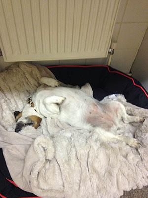 Pringle in her favourite position