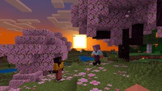 Two players in the cherry tree biome in Minecraft