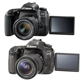 Canon 77D vs 80D