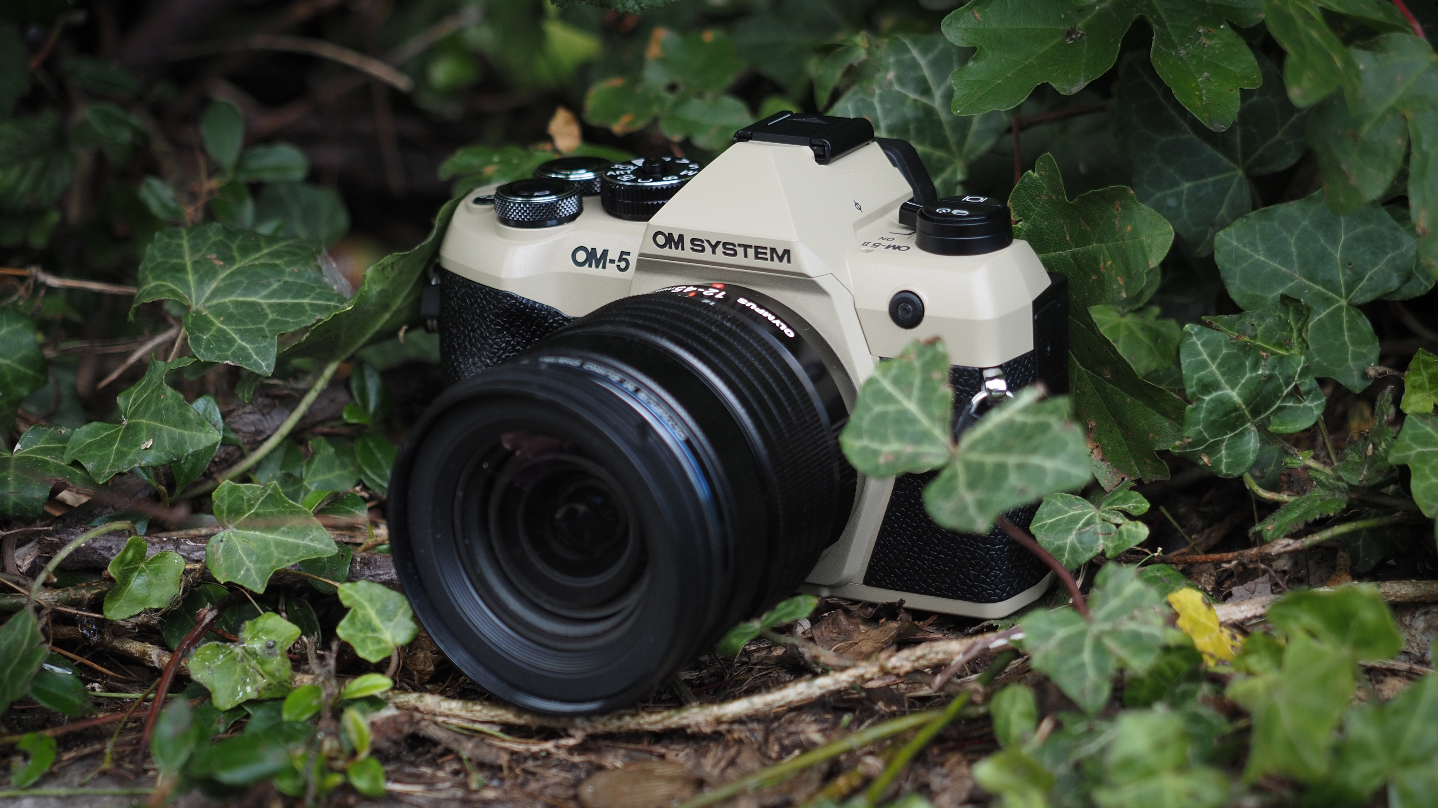 OM System OM-5 Mark II, with the Olympus M.Zuiko 12-45mm f/4 Pro lens, outdoors in woodland