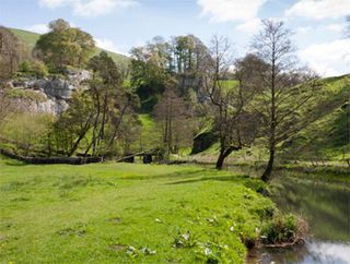 River Dove fishing for sale