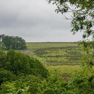 views like this and surrounding woodland right on your doorstep