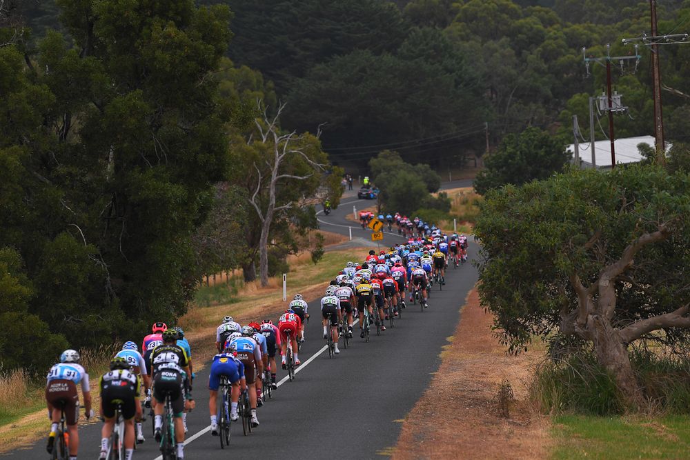 The peloton is strung out at the Tour Down Under