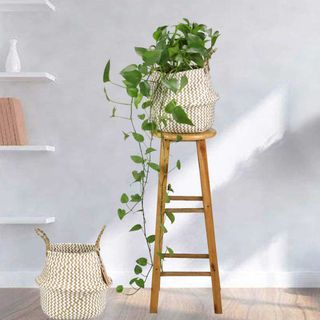 Seagrass planter with long vined pothos inside, balanced on a tall stool