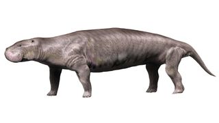 an illustration of the extinct elephant relative pezosiren, looking vaguely hippo-like
