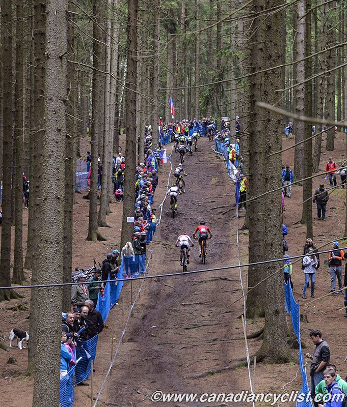 Through the trees