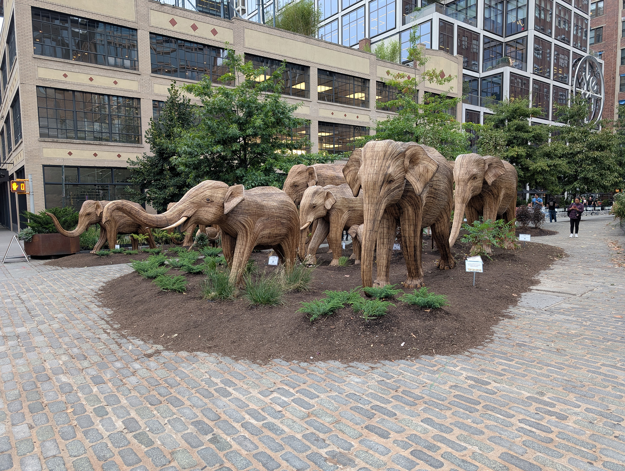 Reimagine - Elephants - Before