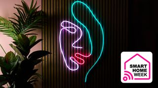 The rope light is in the shape of a woman's face