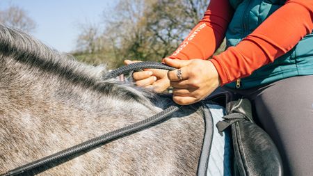 Close up of rider holding reins on a grey horse