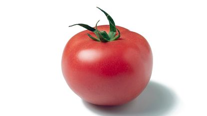 pinkish red variety of tomato isolated on white background 