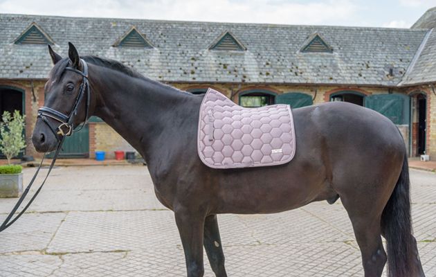 Felix B&uuml;hler Saddle Pad Shine Bright review