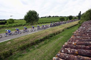 Tour de France 2023 peloton on stage 4