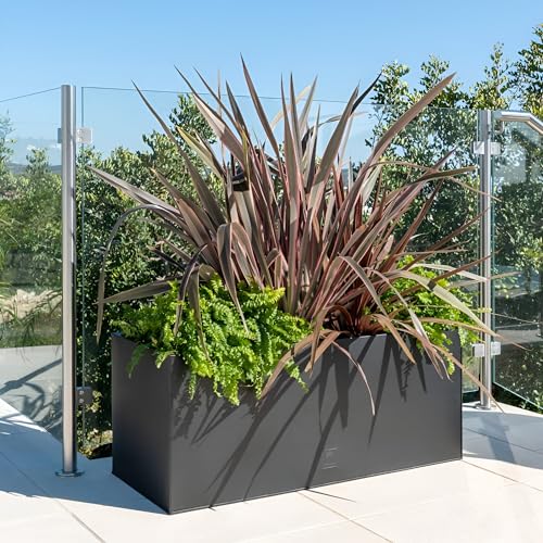 Primrose Gunmetal Black Galvanised Zinc Rectangular Garden Planter Plant Pot Medium 64cm X 32cm (25in X 12.5in)