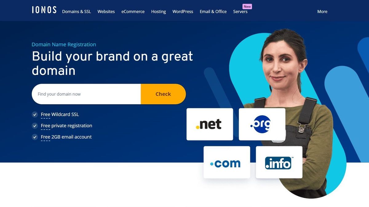 IONOS domain registration service review