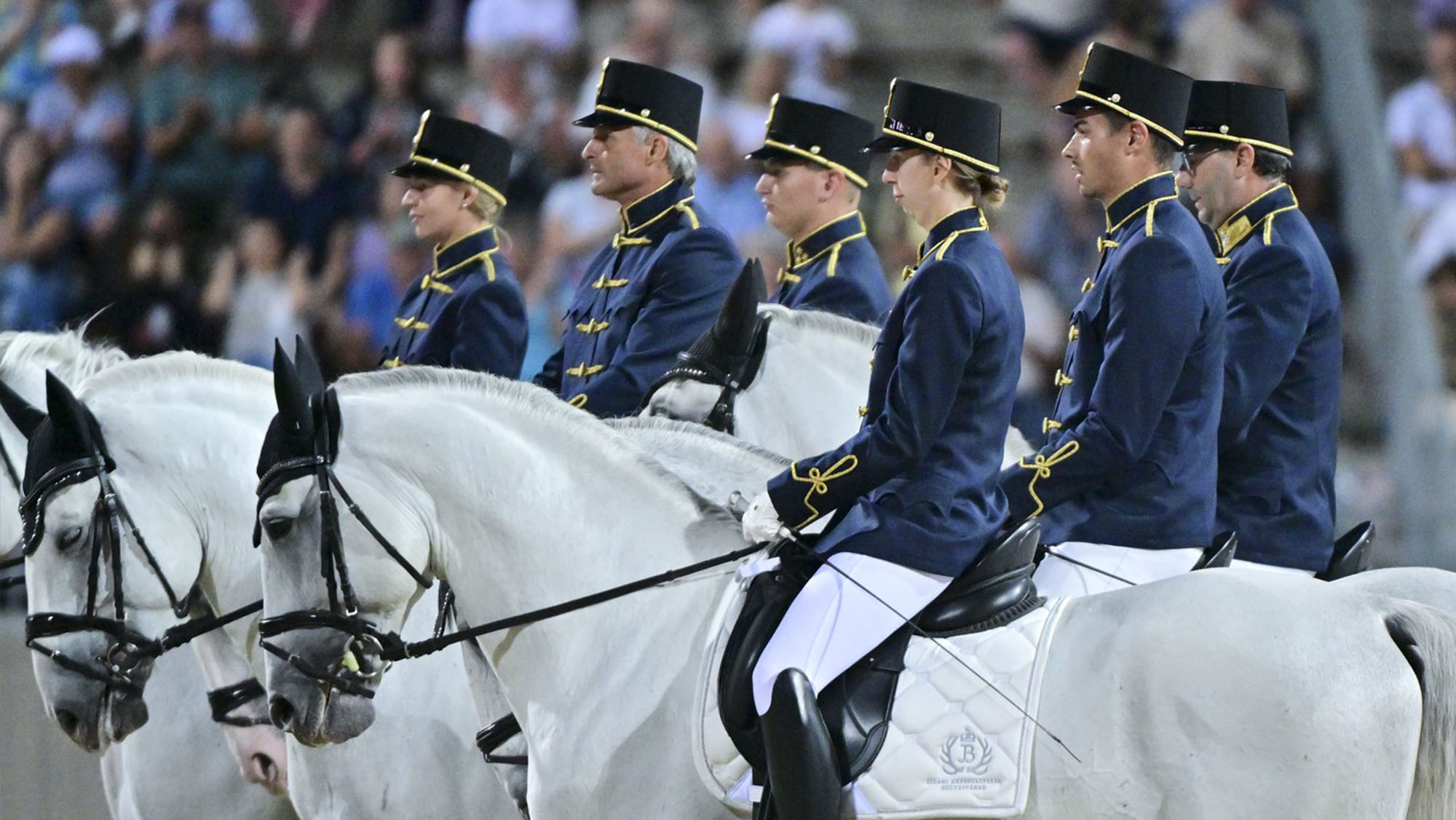 Spirit of the Horses display in front of a crowd