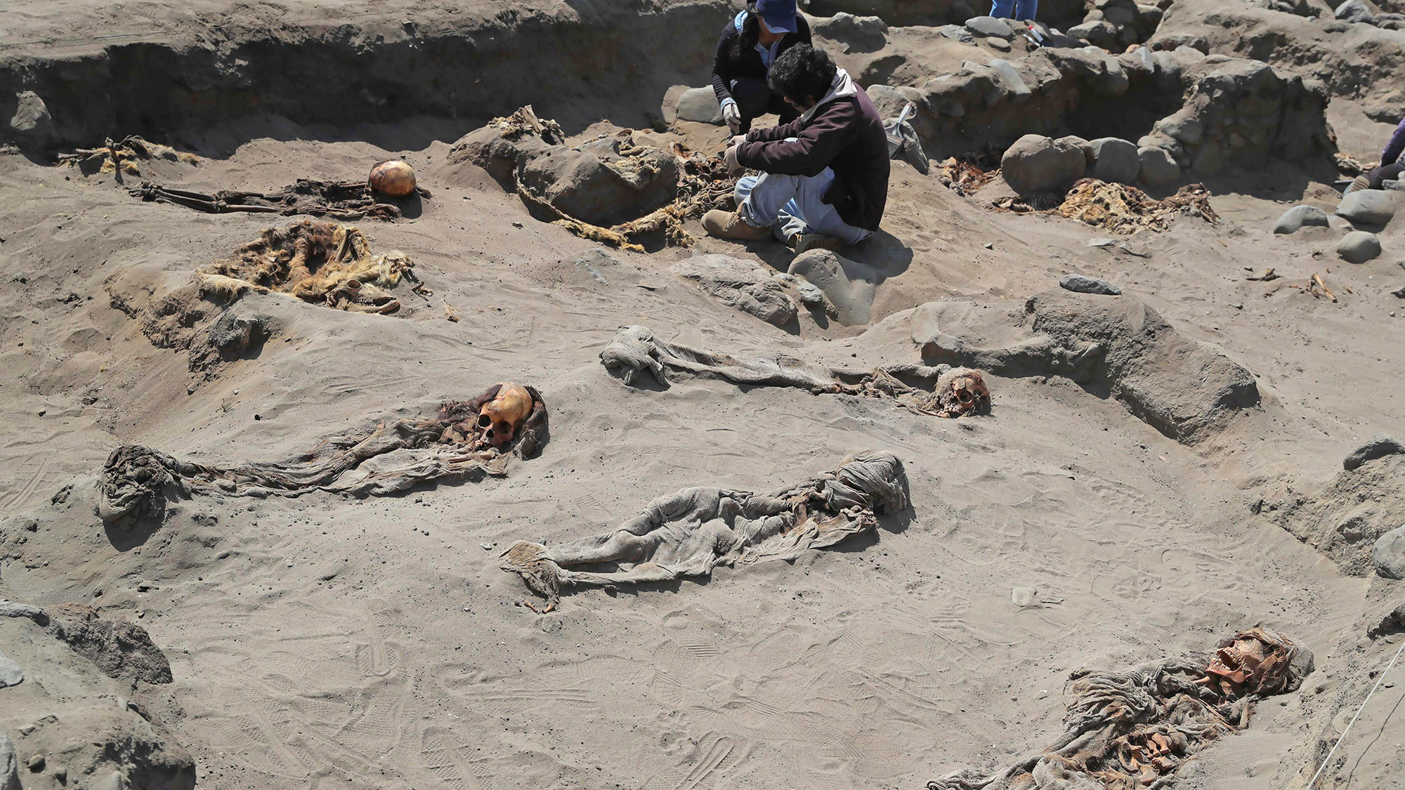 Exclusive: Ancient Mass Child Sacrifice in Peru May Be World's Largest
