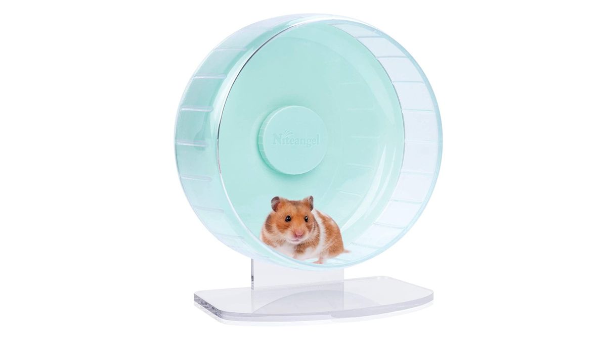 Best hamster toys 2024 for keeping your pet happy | PetsRadar