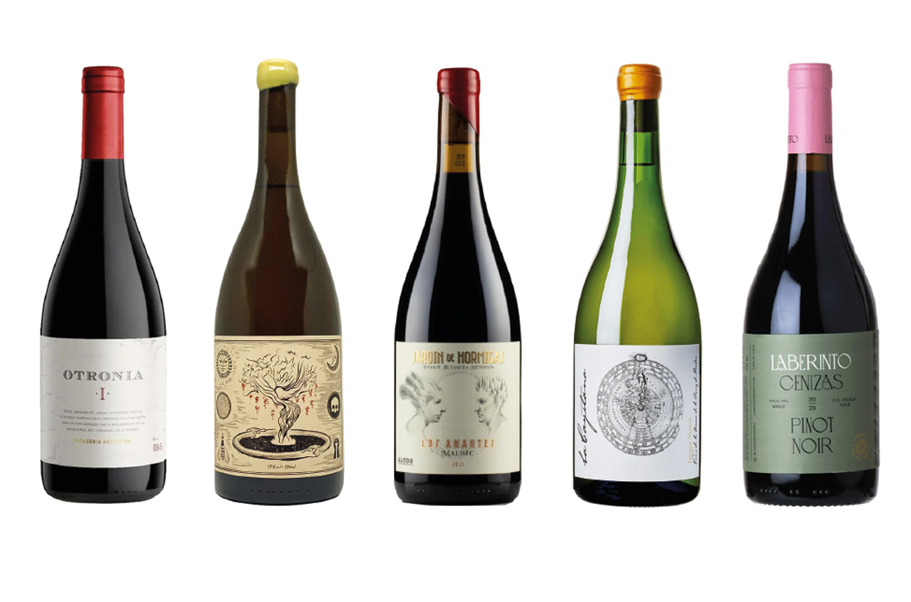 Five bottles of wine