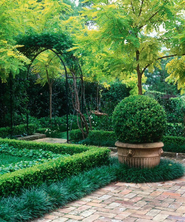 Landscaping with evergreens: 12 ways to make an impact | Gardeningetc
