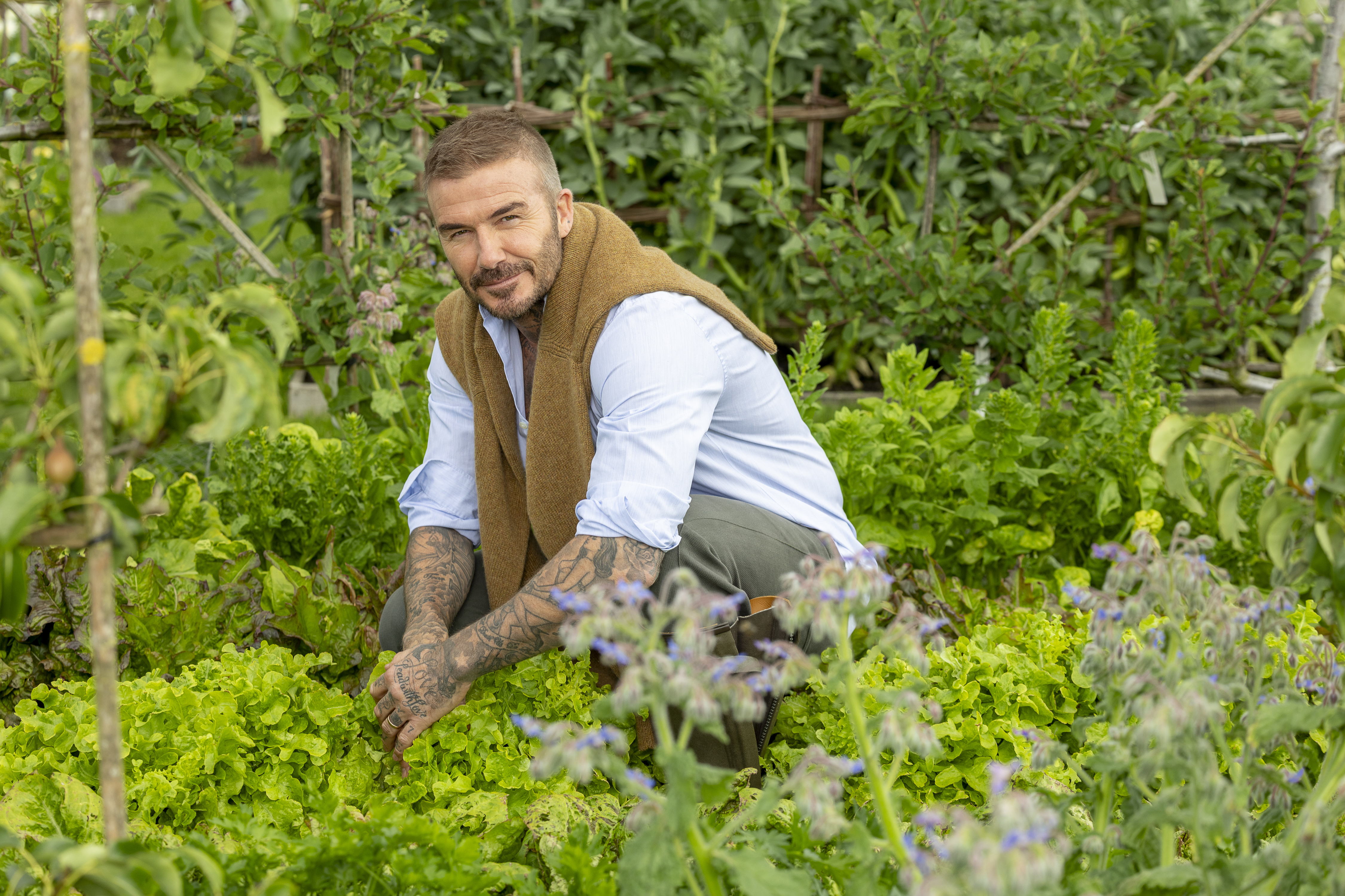 Sir David Beckham crouching in his garden