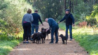 Four people out walking with their dogs