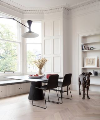 large period property with window seat and storage, white cornice, white walls large wall mounted black light, panelling detail to window reveal, shelves in alcove, black dining chairs and table and large black dog