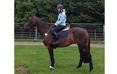 Burghley-Coral.jpg
