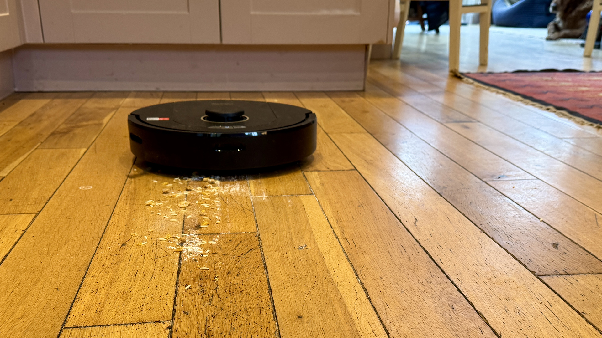 Roborock Q5 Pro Plus on a wooden floor with a pile of flour and larger crumbs in front of it