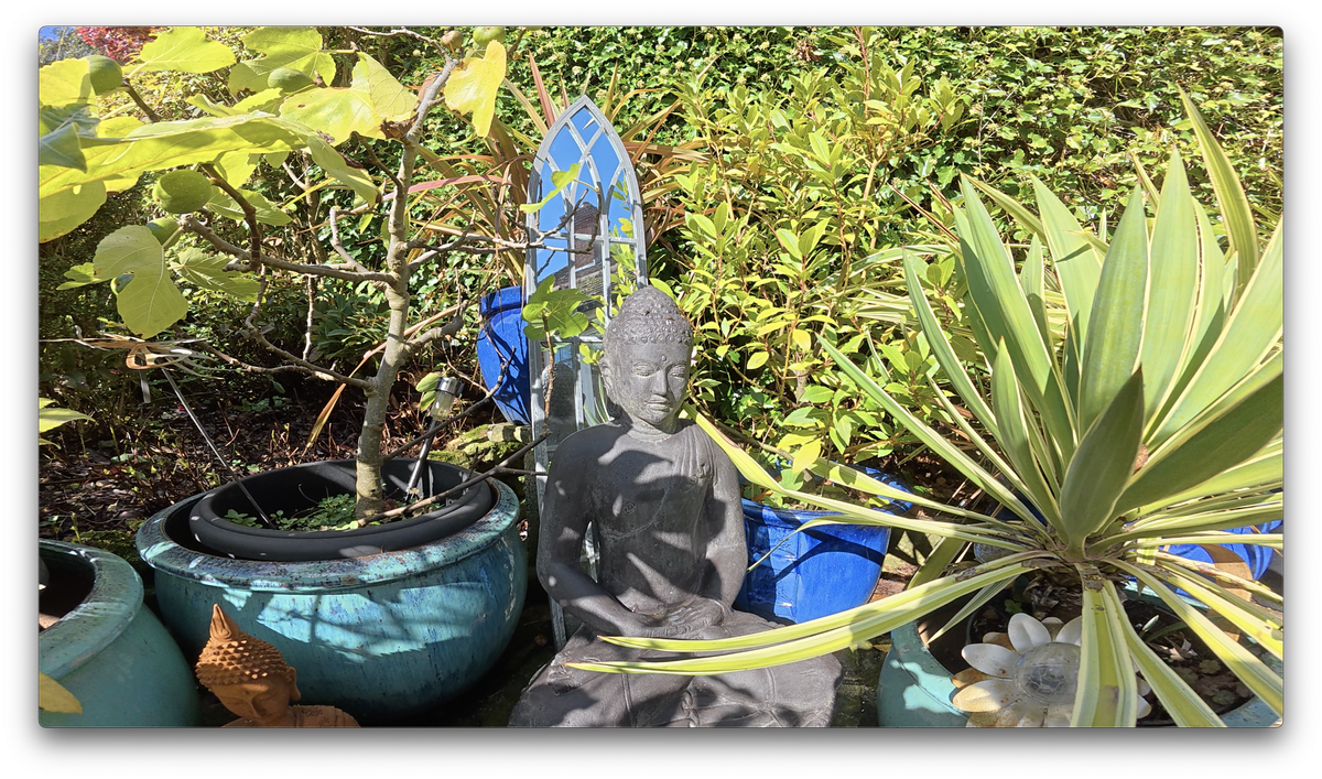 A photo of a Buddha statue among plants