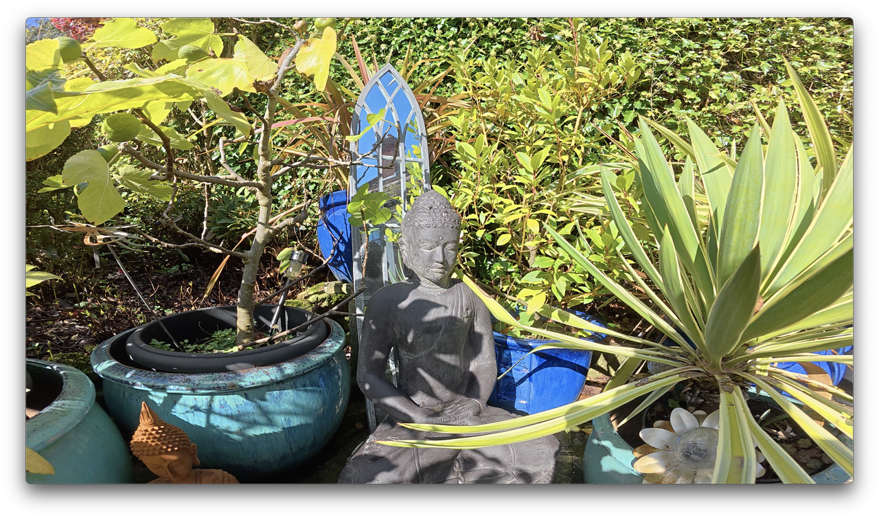 A photo of a Buddha statue among plants